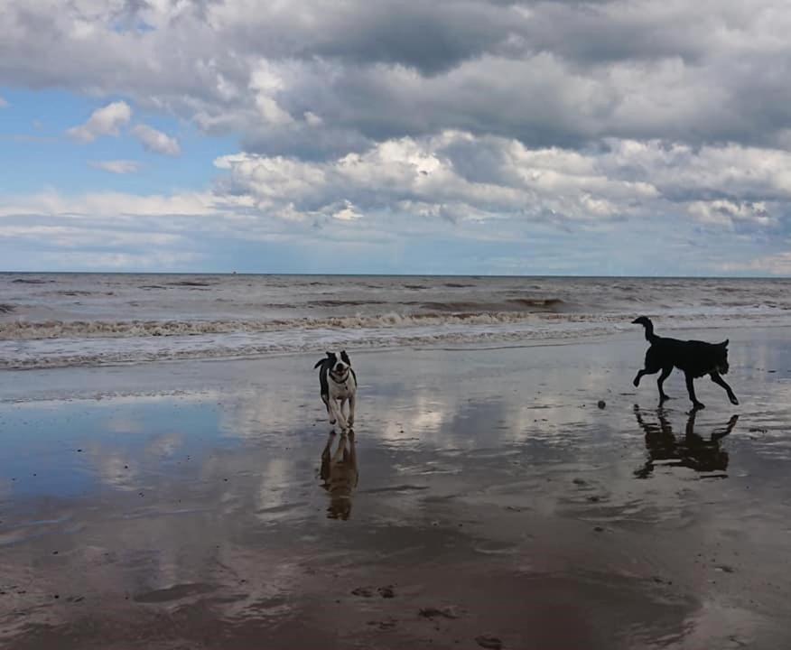 Bridlington'S Bolt Hole Chalet Villa Екстериор снимка