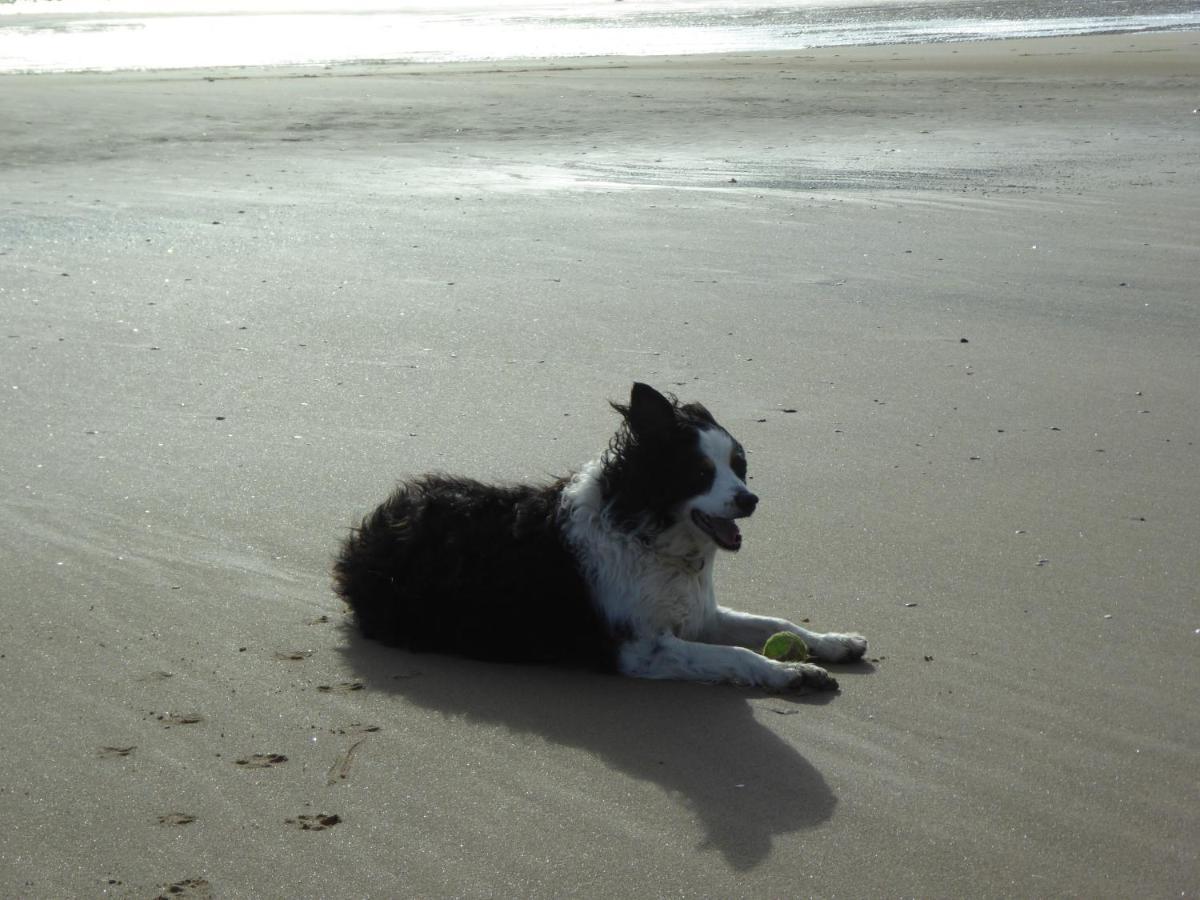 Bridlington'S Bolt Hole Chalet Villa Екстериор снимка