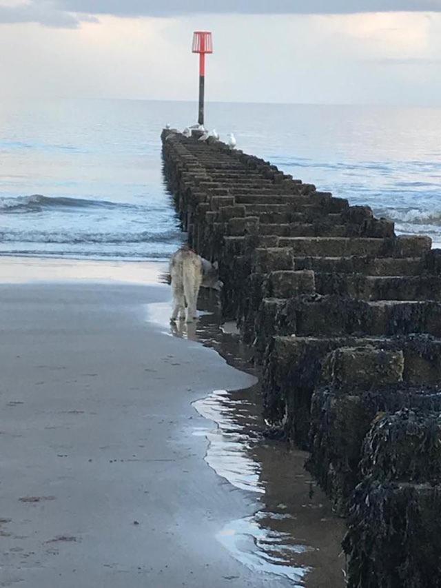 Bridlington'S Bolt Hole Chalet Екстериор снимка